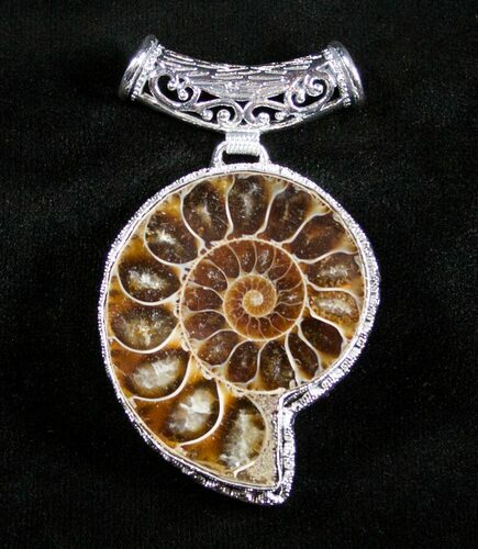 Ammonite Pendant #3151